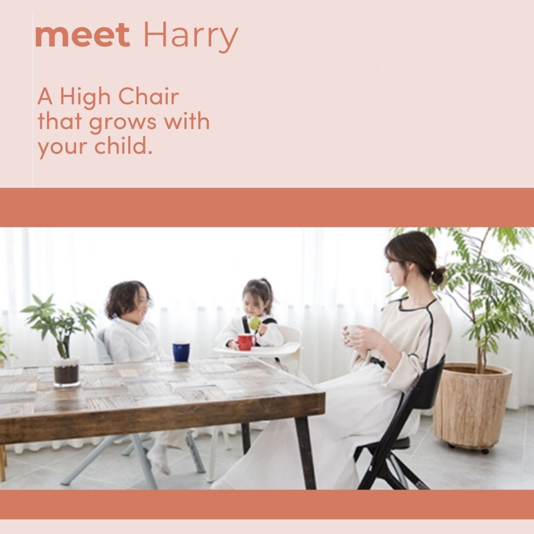 Harry Adjustable 3-in-1 Highchair